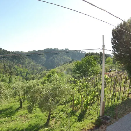Lovely Cottage In Gualdo With Swimming Pool Massarosa